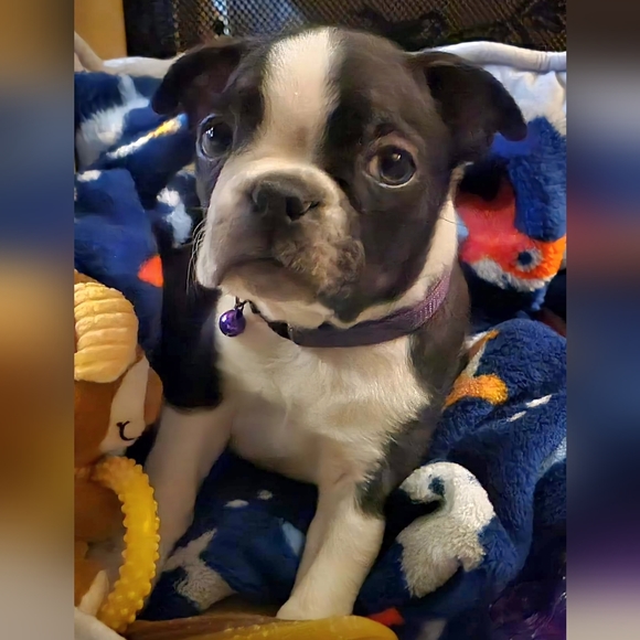 Meet your Posher, Tiff - Picture 15 of 16